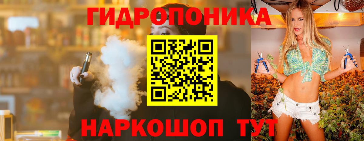 Канабис сатива Назрань